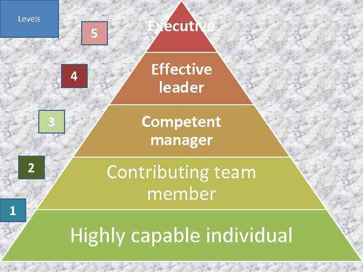 Leadership is a social process of cooperation of