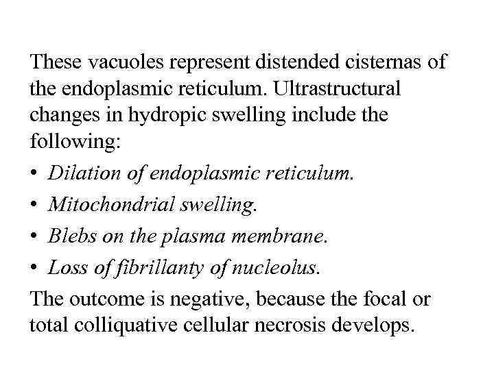 These vacuoles represent distended cisternas of the endoplasmic reticulum. Ultrastructural changes in hydropic swelling