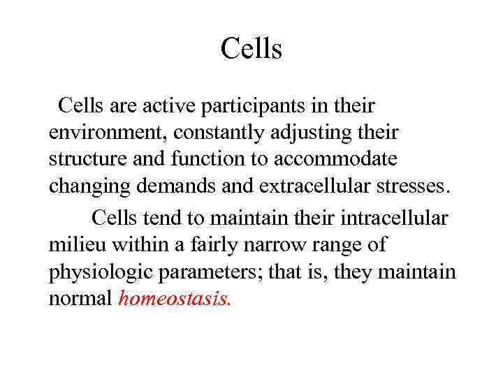 Cells are active participants in their environment, constantly adjusting their structure and function to