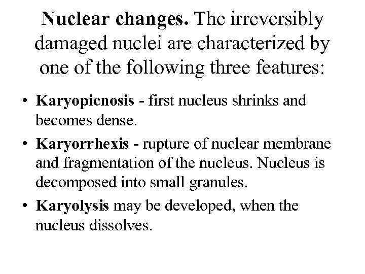 Nuclear changes. The irreversibly damaged nuclei are characterized by one of the following three