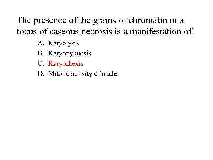 The presence of the grains of chromatin in a focus of caseous necrosis is