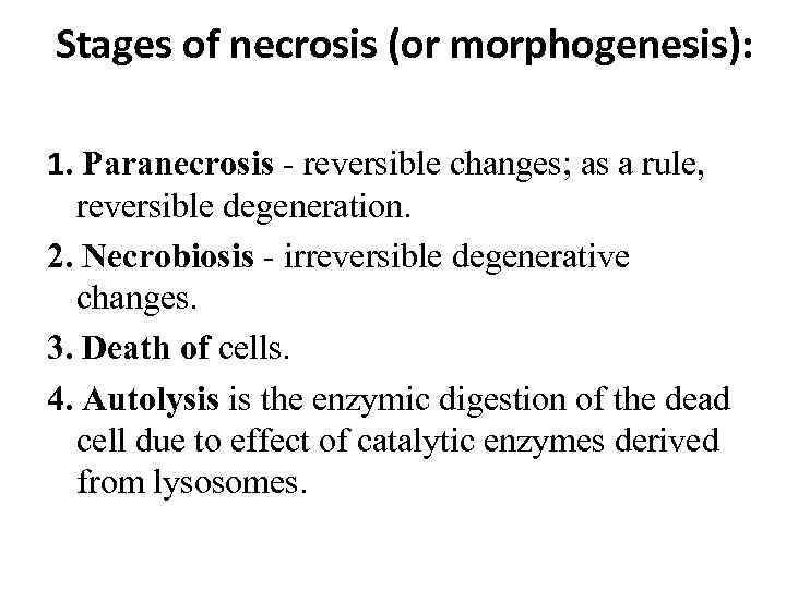 Stages of necrosis (or morphogenesis): 1. Paranecrosis - reversible changes; as a rule, reversible