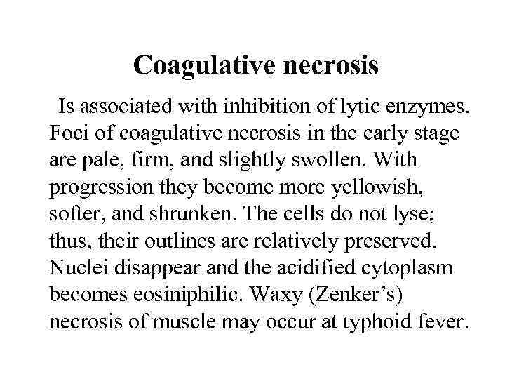 Coagulative necrosis Is associated with inhibition of lytic enzymes. Foci of coagulative necrosis in