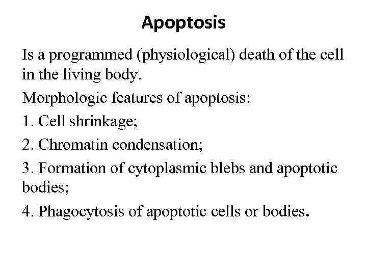 Apoptosis Is a programmed (physiological) death of the cell in the living body. Morphologic
