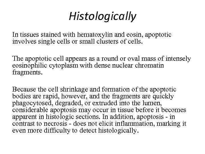 Histologically In tissues stained with hematoxylin and eosin, apoptotic involves single cells or small