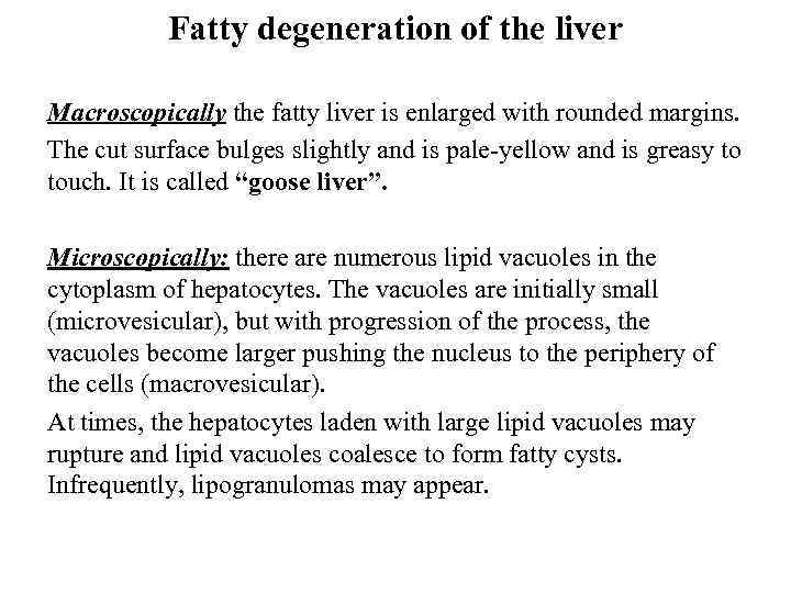 Fatty degeneration of the liver Macroscopically the fatty liver is enlarged with rounded margins.