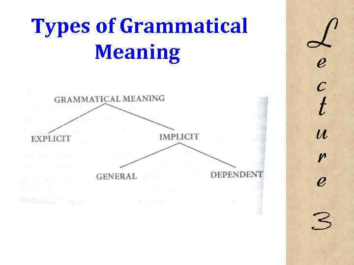 Types of Grammatical Meaning 3 