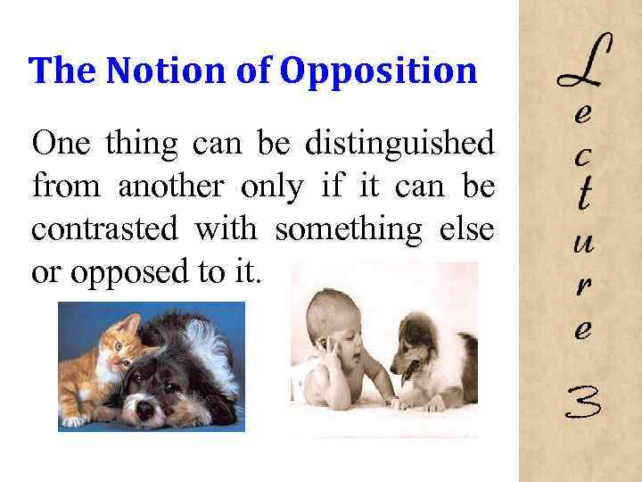 The Notion of Opposition One thing can be distinguished from another only if it