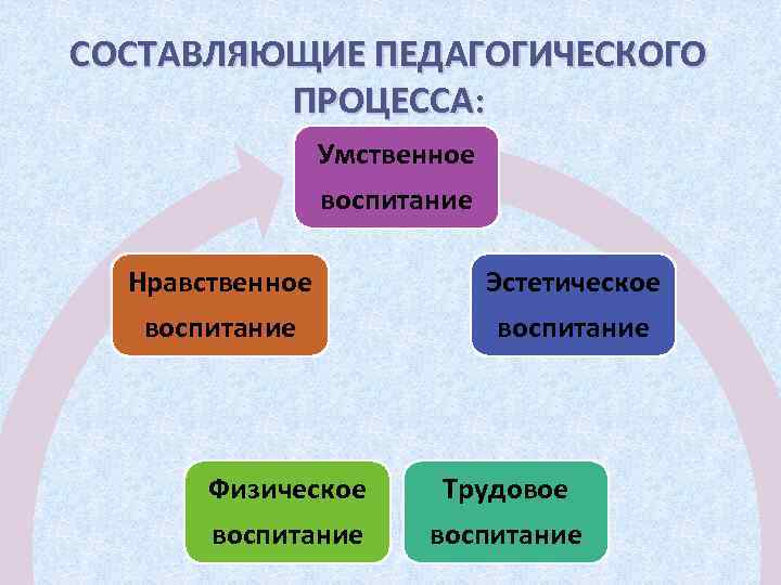 Педагогическая составляющая