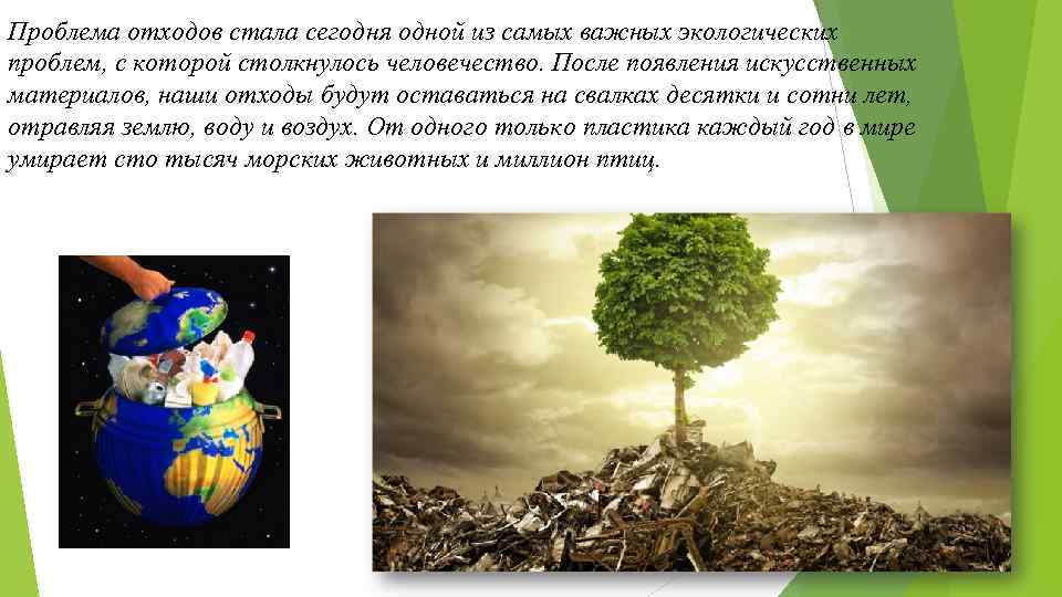 Проблема отходов стала сегодня одной из самых важных экологических проблем, с которой столкнулось человечество.