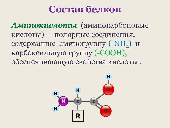 Состав белков Аминокислоты (аминокарбоновые кислоты) — полярные соединения, содержащие аминогруппу (-NH 2) и карбоксильную