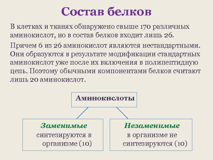 Состав белков В клетках и тканях обнаружено свыше 170 различных аминокислот, но в состав