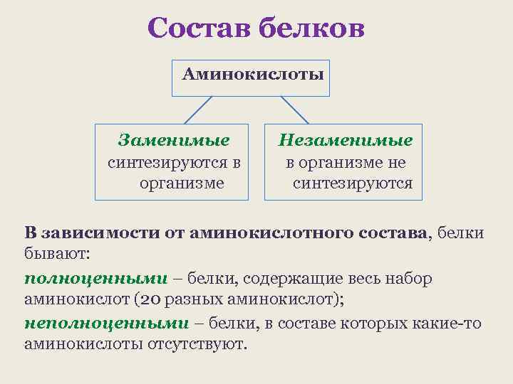 Состав белков Аминокислоты Заменимые синтезируются в организме Незаменимые в организме не синтезируются В зависимости