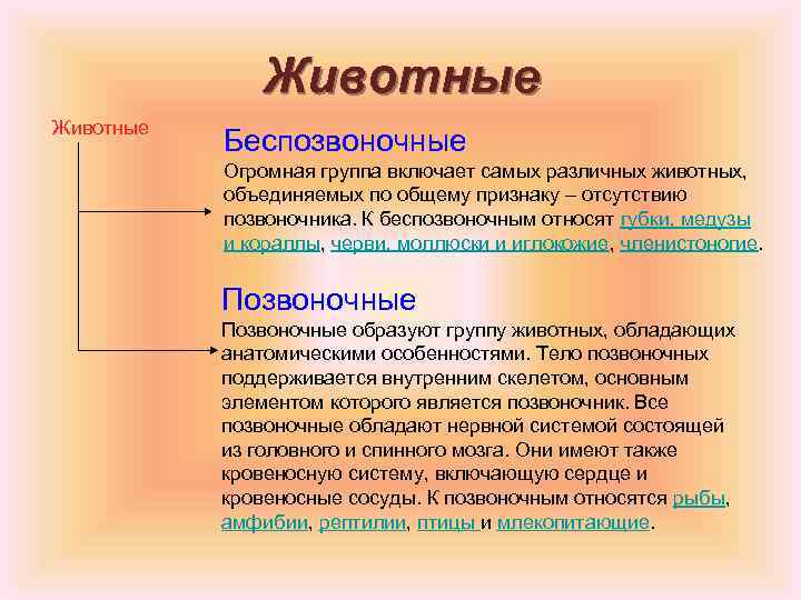 Животные Беспозвоночные Огромная группа включает самых различных животных, объединяемых по общему признаку – отсутствию