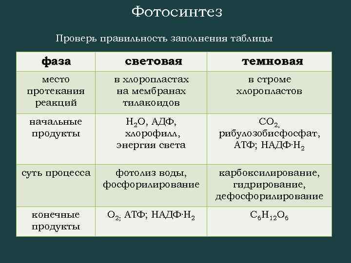 Фотосинтез Проверь правильность заполнения таблицы фаза световая темновая место протекания реакций в хлоропластах на