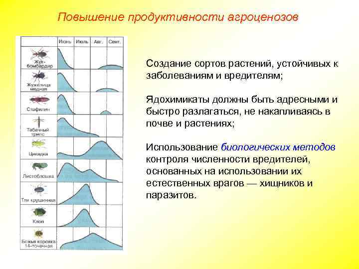 Повышение продуктивности агроценозов Создание сортов растений, устойчивых к заболеваниям и вредителям; Ядохимикаты должны быть