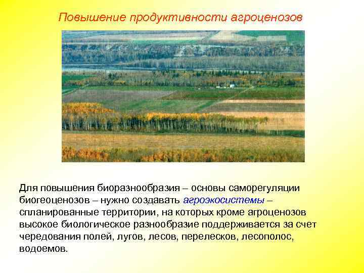 Повышение продуктивности агроценозов Для повышения биоразнообразия – основы саморегуляции биогеоценозов – нужно создавать агроэкосистемы