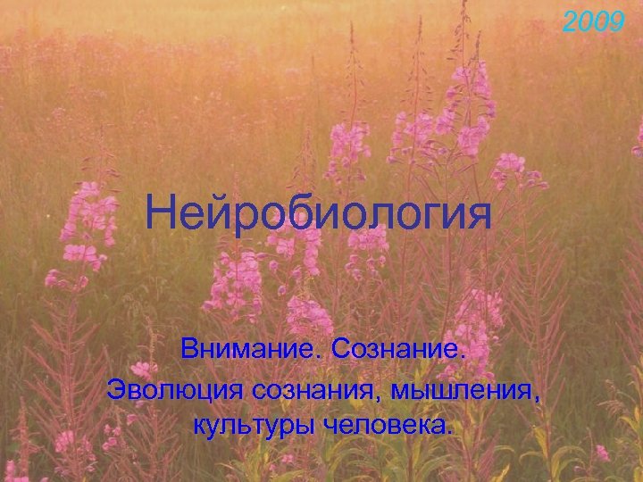 2009 Нейробиология Внимание. Сознание. Эволюция сознания, мышления, культуры человека. 