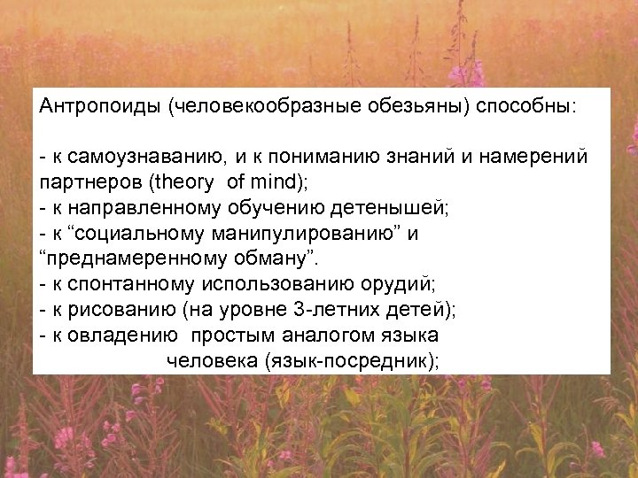 Антропоиды (человекообразные обезьяны) способны: - к самоузнаванию, и к пониманию знаний и намерений партнеров