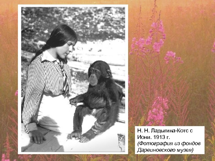 Н. Н. Ладыгина-Котс с Иони. 1913 г. (Фотография из фондов Дарвиновского музея) 