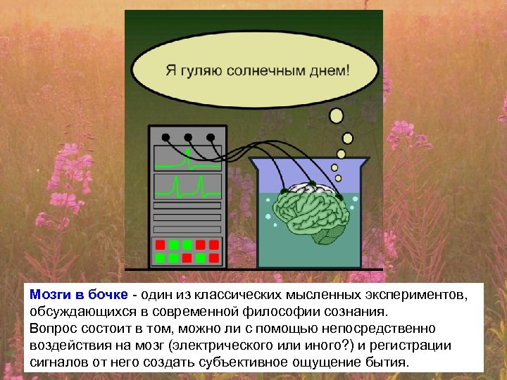 Мозги в бочке - один из классических мысленных экспериментов, обсуждающихся в современной философии сознания.