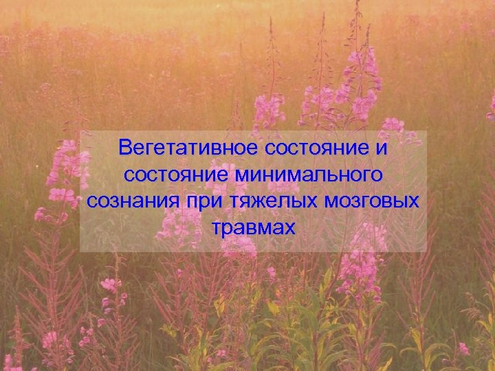 Вегетативное состояние и состояние минимального сознания при тяжелых мозговых травмах 