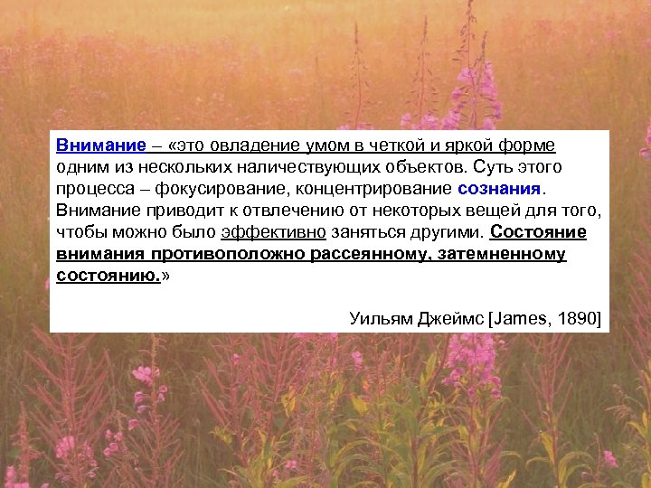 Внимание – «это овладение умом в четкой и яркой форме одним из нескольких наличествующих