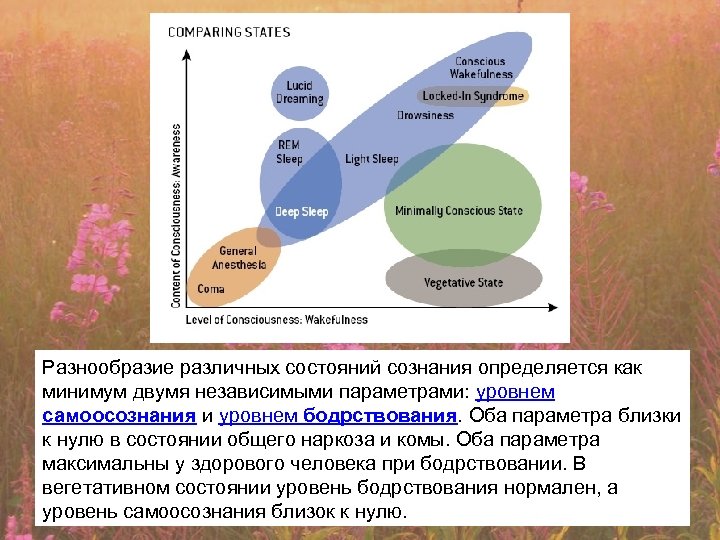 Разнообразие различных состояний сознания определяется как минимум двумя независимыми параметрами: уровнем самоосознания и уровнем
