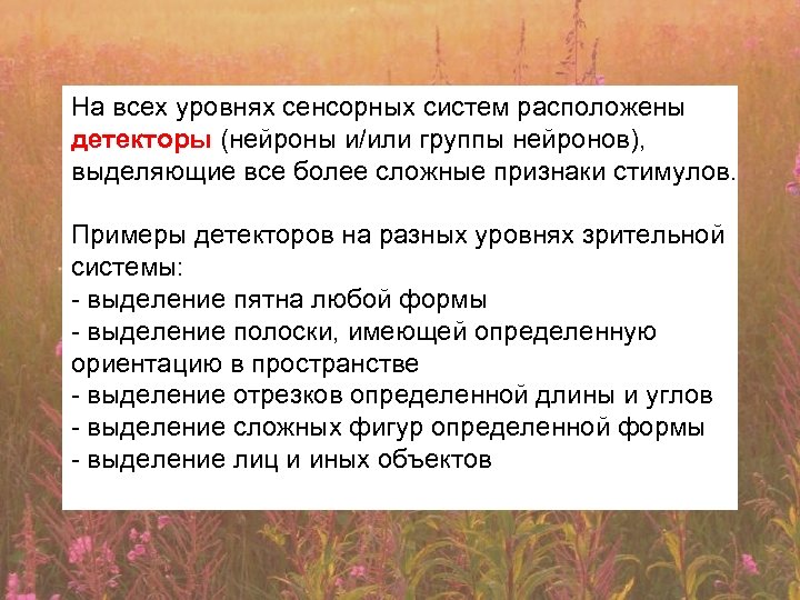 На всех уровнях сенсорных систем расположены детекторы (нейроны и/или группы нейронов), выделяющие все более
