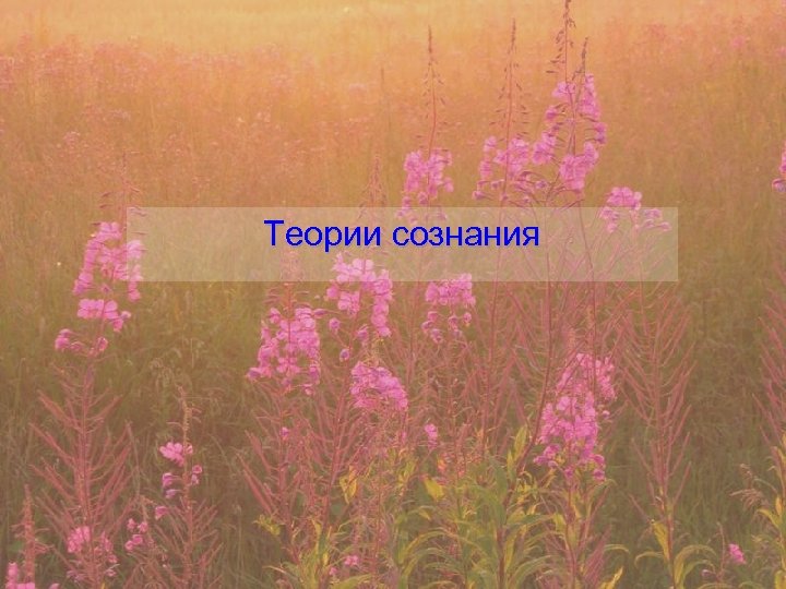 Теории сознания 