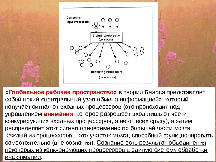  «Глобальное рабочее пространство» в теории Баарса представляет собой некий «центральный узел обмена информацией»