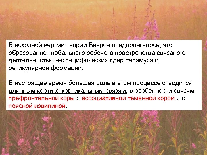 В исходной версии теории Баарса предполагалось, что образование глобального рабочего пространства связано с деятельностью
