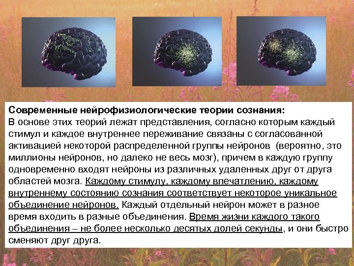 Современные нейрофизиологические теории сознания: В основе этих теорий лежат представления, согласно которым каждый стимул