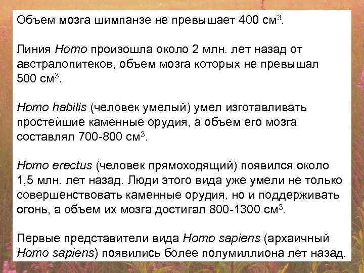 Объем мозга шимпанзе не превышает 400 см 3. Линия Homo произошла около 2 млн.