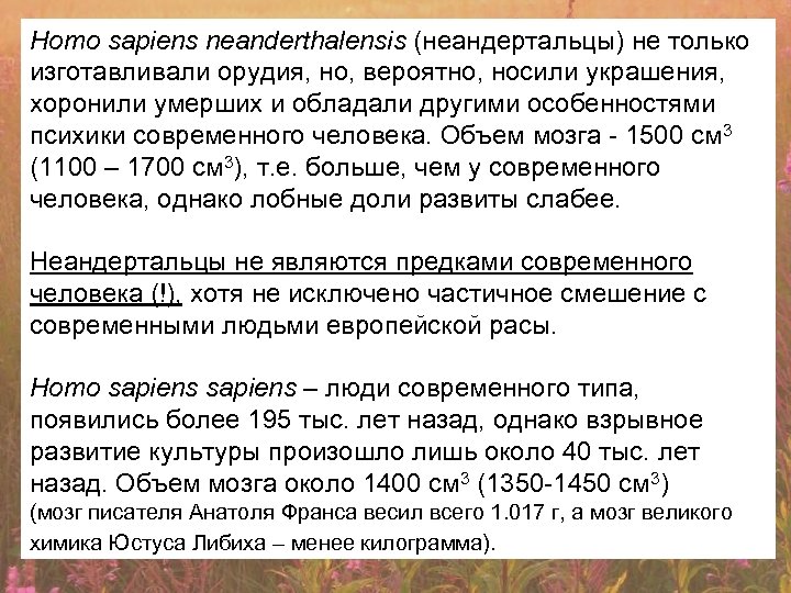 Homo sapiens neanderthalensis (неандертальцы) не только изготавливали орудия, но, вероятно, носили украшения, хоронили умерших