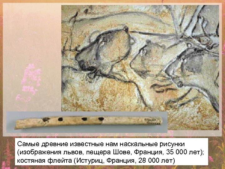 Самые древние известные нам наскальные рисунки (изображения львов, пещера Шове, Франция, 35 000 лет);
