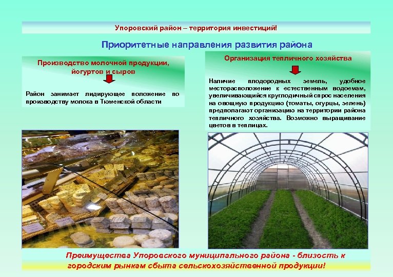 Упоровский район – территория инвестиций! Приоритетные направления развития района Организация тепличного хозяйства Производство молочной