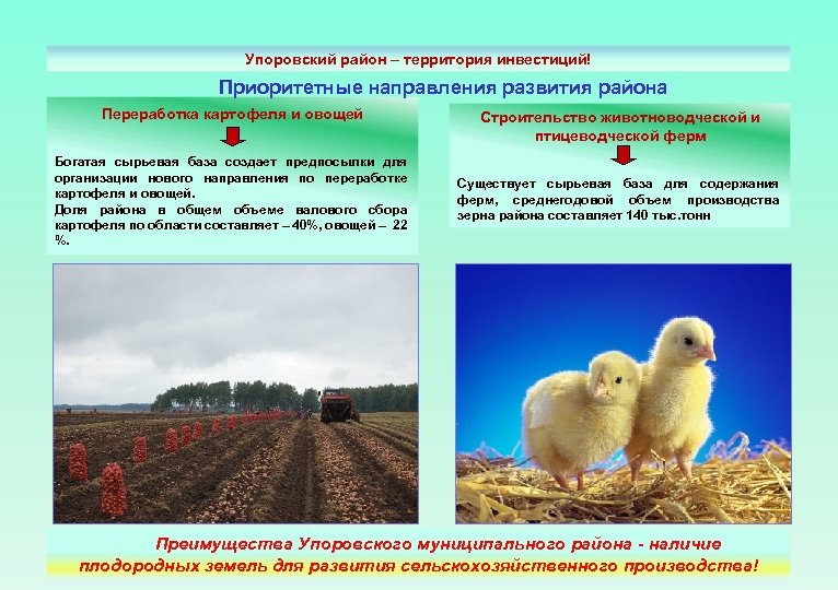 Упоровский район – территория инвестиций! Приоритетные направления развития района Переработка картофеля и овощей Богатая