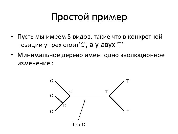 Простой пример • Пусть мы имеем 5 видов, такие что в конкретной позиции у