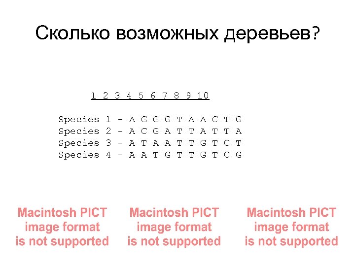 Сколько возможных деревьев? 1 2 3 4 5 6 7 8 9 10 Species