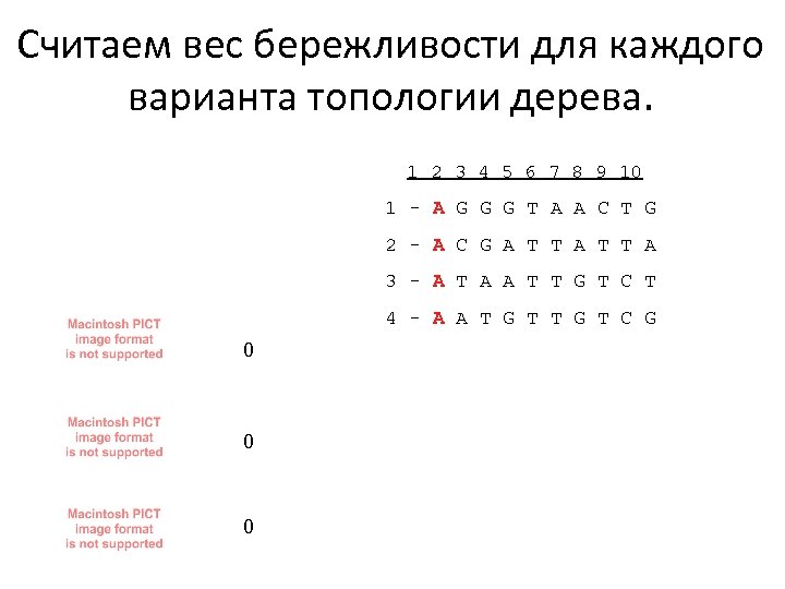 Считаем вес бережливости для каждого варианта топологии дерева. 1 2 3 4 5 6