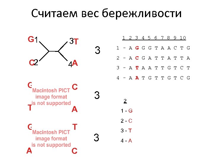 Считаем вес бережливости G 1 C 2 G T G 3 T 1 2