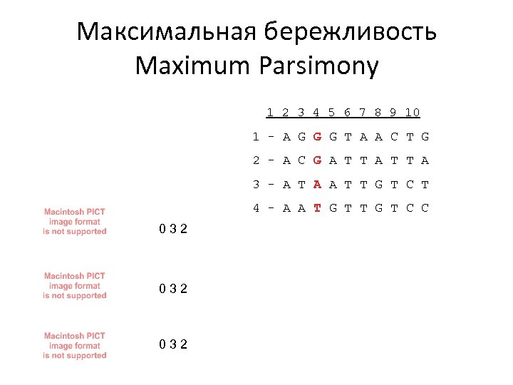 Максимальная бережливость Maximum Parsimony 1 2 3 4 5 6 7 8 9 10