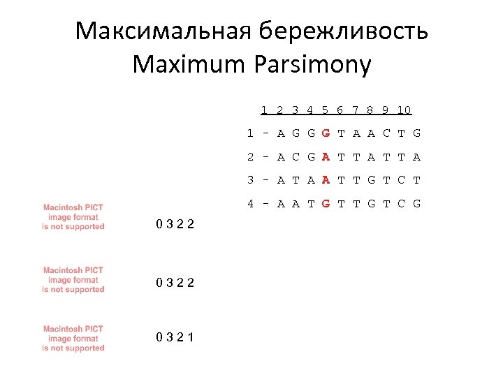 Максимальная бережливость Maximum Parsimony 1 2 3 4 5 6 7 8 9 10