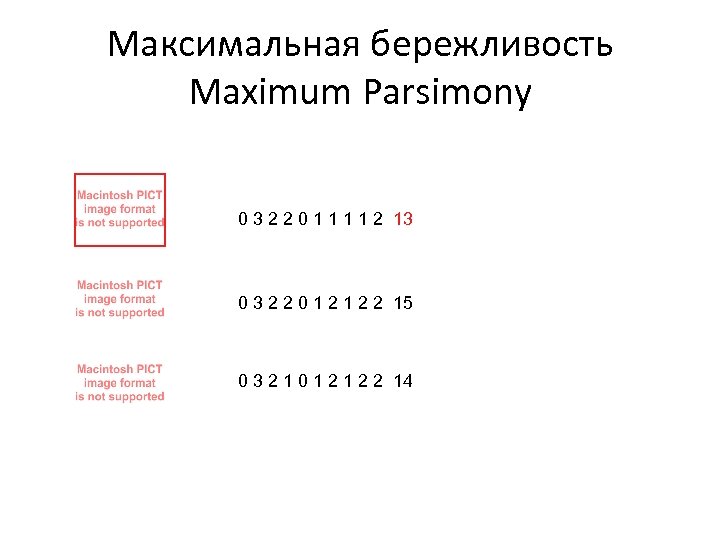 Максимальная бережливость Maximum Parsimony 0 3 2 2 0 1 1 2 13 0