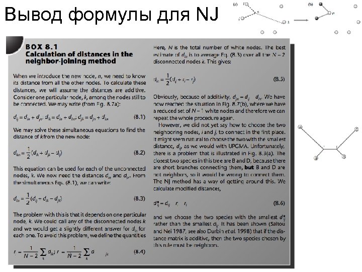 Вывод формулы для NJ 
