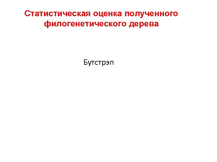 Статистическая оценка полученного филогенетического дерева Бутстрэп 