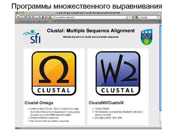 Программы множественного выравнивания 