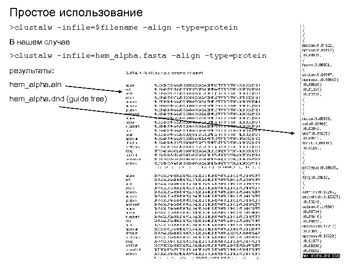 Простое использование >clustalw -infile=$filename -align -type=protein В нашем случае >clustalw -infile=hem_alpha. fasta -align -type=protein