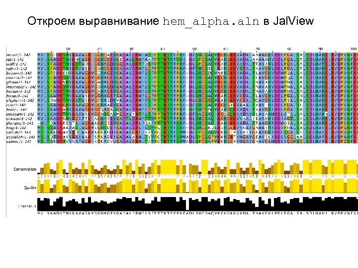Откроем выравнивание hem_alpha. aln в Jal. View 